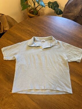 Men’s Zara light blue cropped polo (size medium)